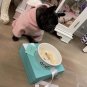 New pet feeder Blue Luxurious Dog Bowl Pet Products Food Bowl Tableware Cat Food