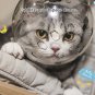 Anti-Bite Muzzles Breathable Helmet Muzzle for Kitten Grooming & Nail Trimming