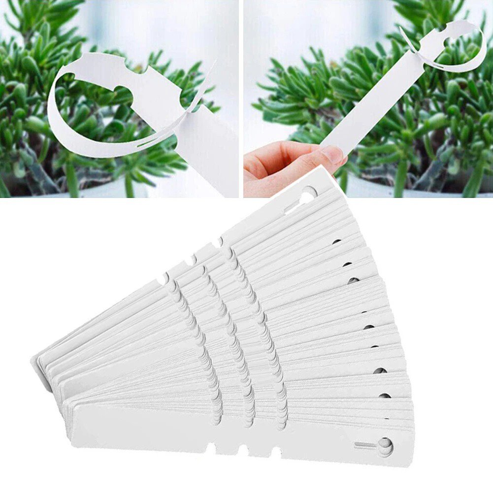 200pcs Plant Labels Gardening Label White Flower Ring Set Waterproof ...