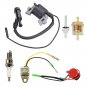 Magneto For Honda GX200 GX120 GX110 GX140 GX160 5.5HP 6.5HP Parts Spark Plug Ignition coil kit