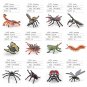 Pack of 12 Insect Bugs Figures Educational Animal Figurines Children Interactive