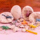 Dinosaur Eggs Dig Kit Exquisite Vivid Novelty Appearance Archeological Dino Egg