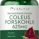 Carlyle Coleus Forskohlii Capsules | 625mg | 100 Count | Non-GMO & Gluten Free Standardized Extract