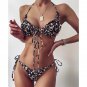 European American Sexy Ladies Printed Bikini Two-Piece Swimsuit Women