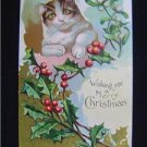 Early Cat ~ Mistletoe Wishing You a Merry Christmas NM
