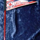 Boston Red Sox Baseball Mini Pennant on 14" Pencil