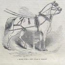 HORSE HARNESS IVORY DINSDALE SADDLERY LONDON 1852 AD
