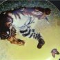 SIBERIAN CUB AT PLAY 1981 Robert Blottiaux Plate MIB