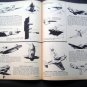 AIR PROGRESS MAGAZINE Military~Fly~Vietnam Aug Sep 65