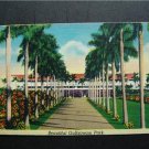 Beautiful Gulfstream Park Hallandale, Fla