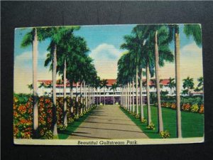 Beautiful Gulfstream Park Hallandale, Fla