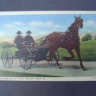 Amish Boys Drive Horse Buggy Carrage Linen Post Card NM