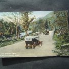 The Mohawk Trail Near Charlemont Mass Postcard