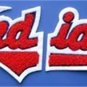 Cleveland Indians Baseball Jacket Cloth 11 " Patch