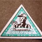 NFL Championship Quality Sport Logo Triangle Cloth Patch 2 1/2" sides