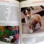 Basic Dog Training Book by Miller Watson 1989 with Photos & Drawings