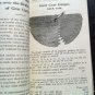 1925 Boston Gear Works Catalog #46  Transmission Equipment Complete EX