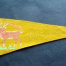 Vintage Winnipeg Manitoba Canada Felt Mini Souvenir Pennant 12"