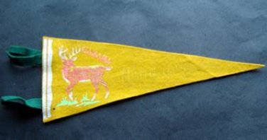 Vintage Winnipeg Manitoba Canada Felt Mini Souvenir Pennant 12"