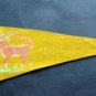 Vintage Winnipeg Manitoba Canada Felt Mini Souvenir Pennant 12"