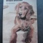 How to Raise and Train an Irish Setter Dog Book by Robert Gannon 1961