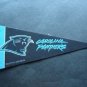 Carolina Panthers NFL Football 9" Mini Pennant Rico / Tag Express