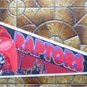 Toronto Raptors NBA Basketball Pennant Wincraft with Cardboard Hanger