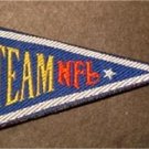 Team NFL Logo Mini Pennant Cloth Patch 3" x 1 1/2"