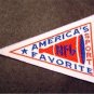 NFL America's Favorite Sport Logo Mini Pennant Cloth Patch 3" x 2"
