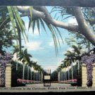 Entrance to the Clubhouse Hialeah Race Course Florida Color Linen Post Card