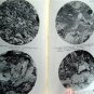 1927 Geology Natural History Survey Shepaug Aqueduct Tunnel Litchfield Co Conn