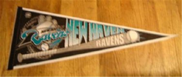 New Haven Ravens Minor League Baseball Defunct Team Pennant Bat Style 2001