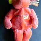 2000 JEFF GORDON # 24 NASCAR Team Salvino Racing Orange Beany Bear Plush RARE