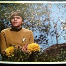 STAR TREK Original Series Color Picture Photo CHEKOV with TRIBBLES 8 1/2" x 11"