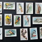 USEFUL BIRDS OF AMERICA ~   ARM & HAMMER Set 1~15 Cards 10th Series NM