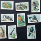 USEFUL BIRDS OF AMERICA ~  ARM & HAMMER Set 1~15 Cards 9th Series NM