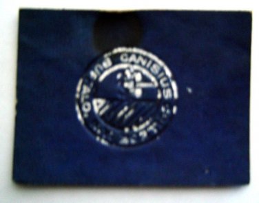 Vintage CANISIUS College Buffalo NY Leather PATCH 2 1/2' x 2"