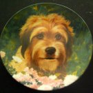 BENJI PLATE 1982  "Wags to Riches" Ist Edit Royal Manor Porcelain with Box & COA