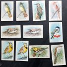 Lot (11) Useful Birds of America Cards Arm & Hammer 1938 10th series #s see list