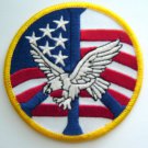 PEACE Eagle and Flag PATCH 3" Round