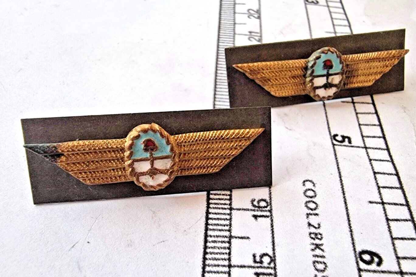 Argentina Argentine Air Force Aviation OLD Collar Uniform Badge SET OF 2  #3