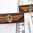 Argentina Argentine Air Force Aviation OLD Collar Uniform Badge SET OF 2  #3