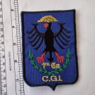 Argentina Gendarmeria Nacional Border Police Special CGI  Team  Patch NOS #3