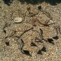 Antique Cast Iron Buggy & Truck Steps