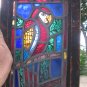 Stained Glass Frame Of Parrot  Sun Catcher