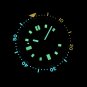 Rubber strap Mens automatic mechanical 20bar C3 luminous 44mm submarine diving watches SD1970C
