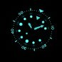 Steeldive Blue Dial NH36 Automatic Movt BGW9 Luminous 47.5MM 30ATM Men's  Dive Tuna Watch SD1975W