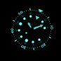 Steeldive Rubber Strap NH36 Automatic Movt BGW9 Luminous 47.5MM 30ATM Men's  Dive Tuna Watch SD1975W