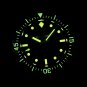 Steeldive Mens Dive Watch Black Dial NH35 Automatic Movt Swiss C3 Luminous 41MM 30ATM SD1952V