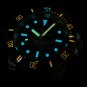 Steeldive Eagle Mens Dive Watch 41MM Black Dial Japan Automatic Movt C3 BGW9 Luminous 30ATM SD1954C